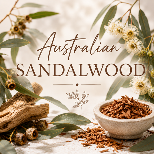 Australian Sandalwood Clam Shell Wax Melt