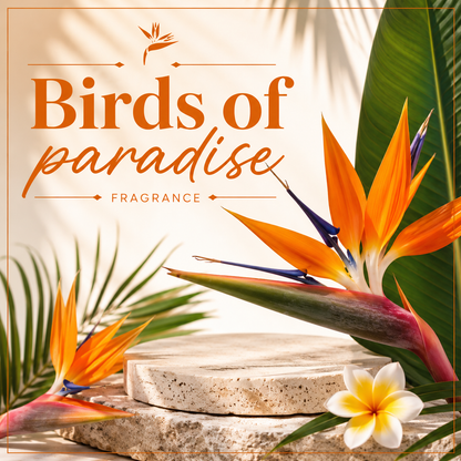 Birds of Paradise Clam Shell Wax Melt
