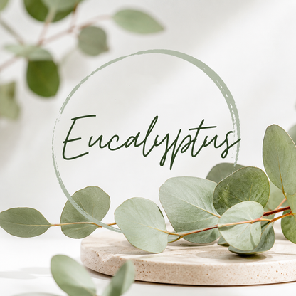 Eucalyptus Clamshell Wax Melt