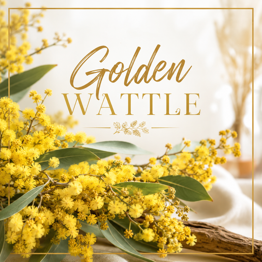 Golden Wattle Clamshell Wax Melt