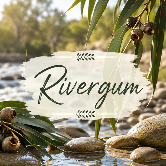 Rivergum Clamshell Wax Melt