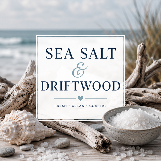 Sea Salt & Driftwood Clamshell Wax Melt
