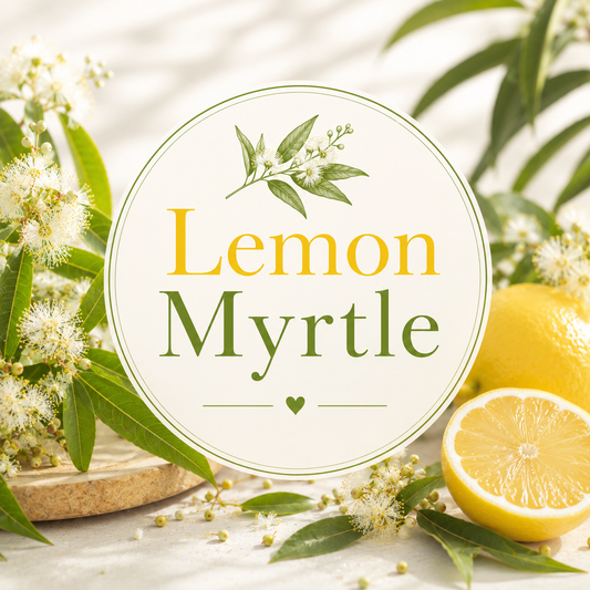 Lemon Myrtle Clamshell Wax Melt
