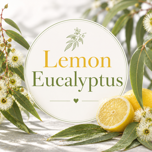 Lemon Eucalyptus Clamshell Wax Melt