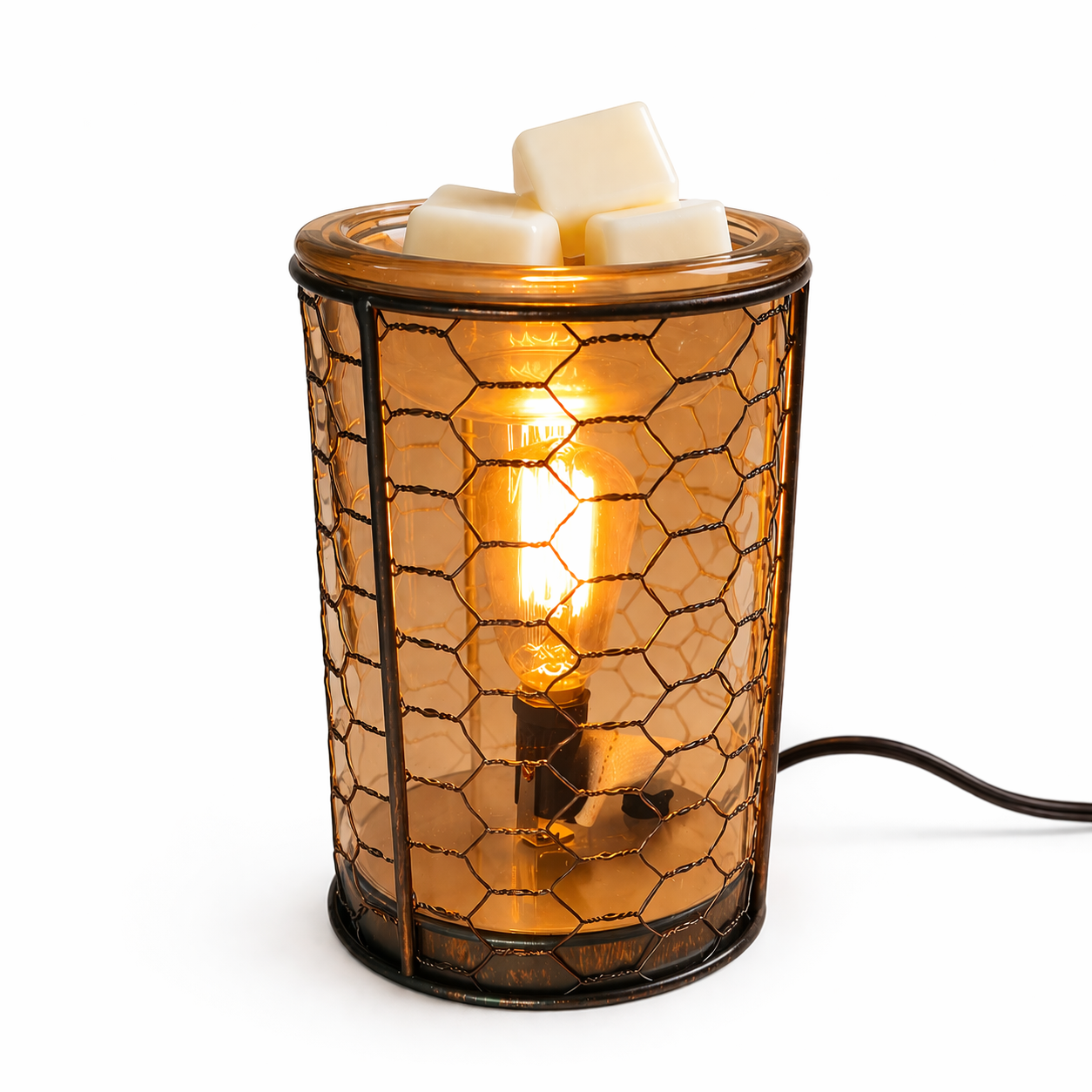 Chicken Wire Edison Bulb Electric Illumination Warmer